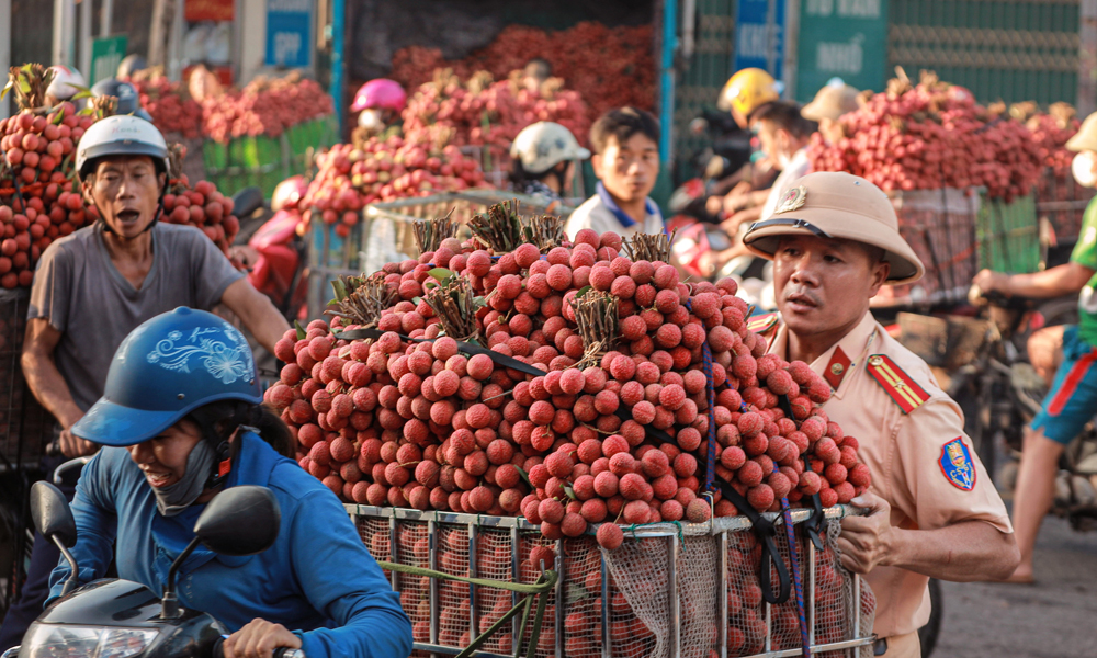  Hợp sức
