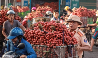 Hợp sức