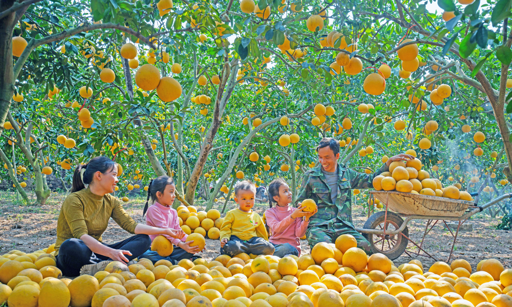  Hạnh phúc