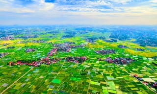 Sắc màu nông thôn đổi mới
