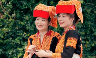 Đôi bạn