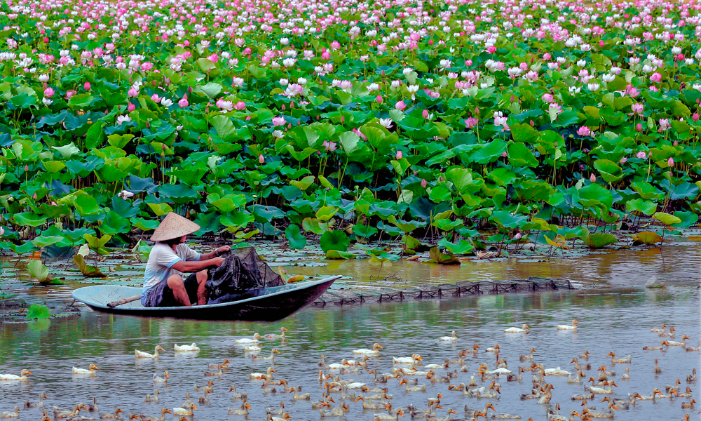  Hạnh phúc nhà nông