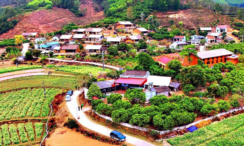  Điểm hẹn Bắc Hoa 