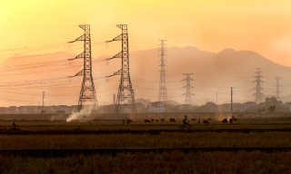 Miền quê đổi mới