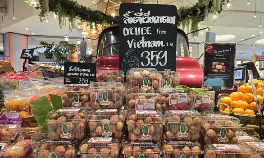 Bac Giang lychees promoted in Thailand