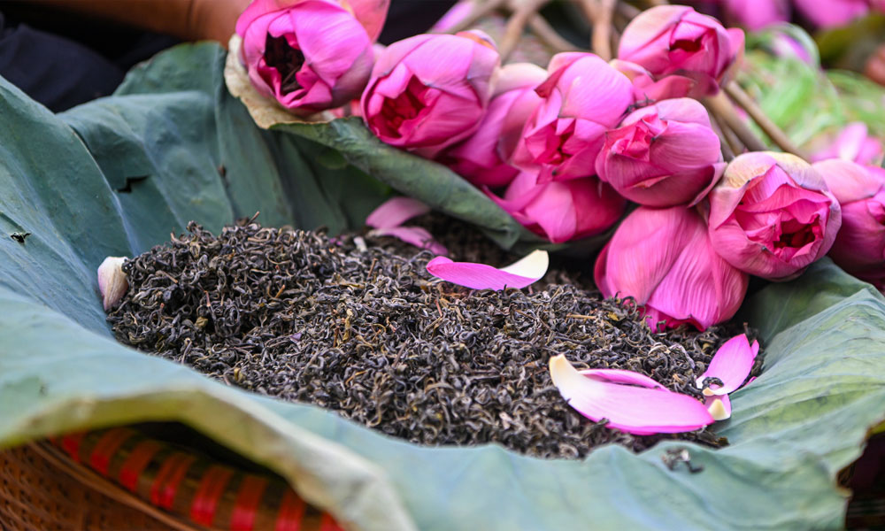 The making of Hanoi luxury lotus tea