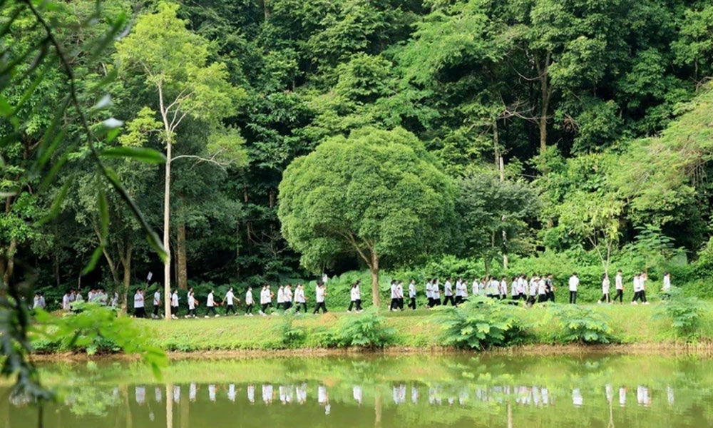 Cuc Phuong honoured as Asia’s Leading National Park 2024
