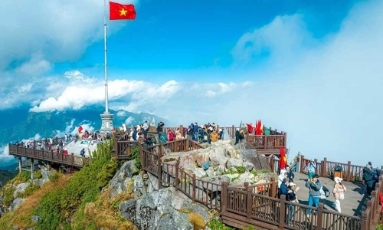 Chính sách mới