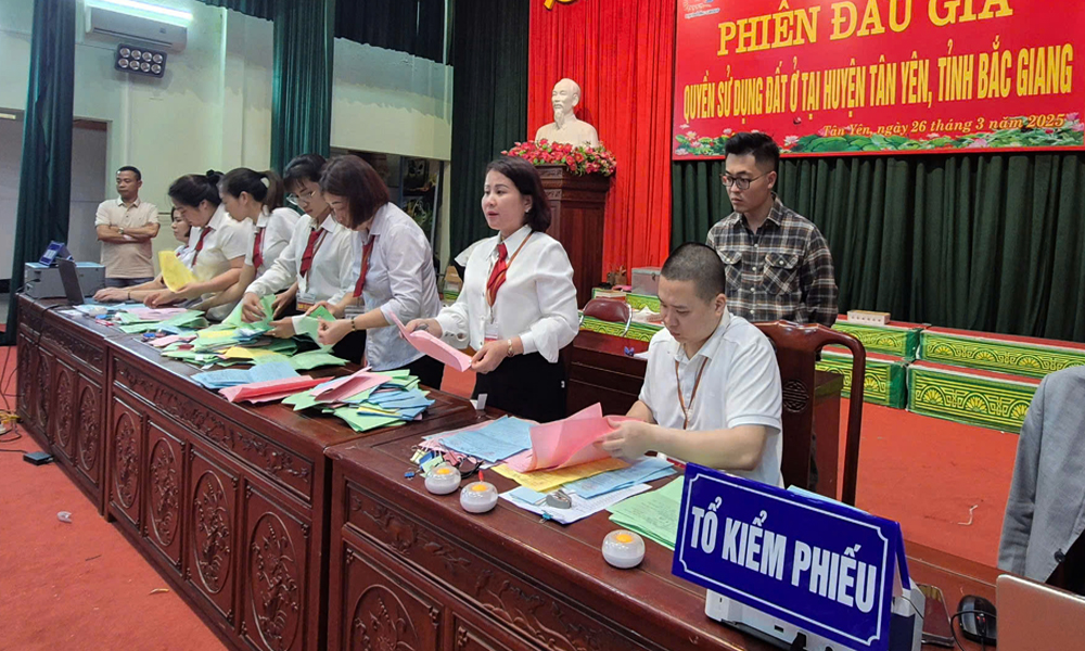 Land use rights auction attracts many investors