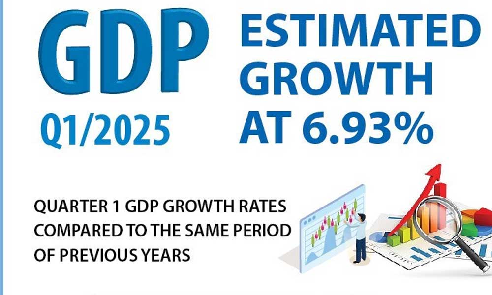 GDP Q1/2025 estimated to grow by 6.93%
