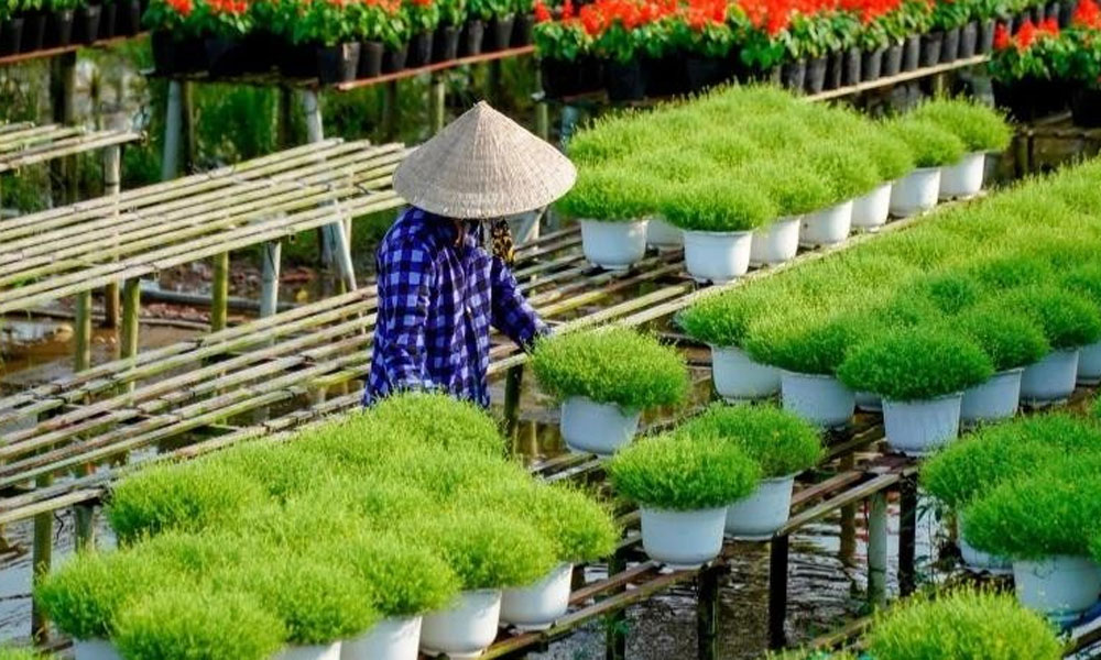 Rural tourism linked to new-style rural development to increase local incomes