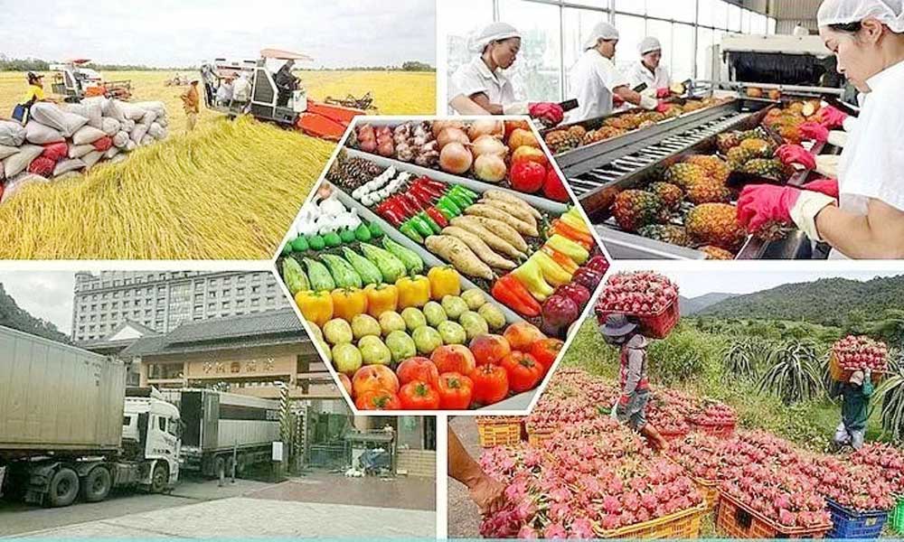 Agro-forestry-fishery export in five months top 28 billion USD