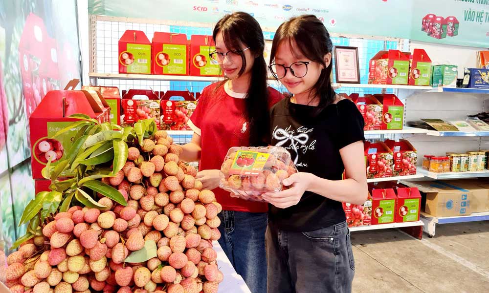 Support promotion and introduction of OCOP products to public