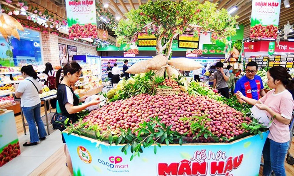 Elevating Vietnamese products with green values