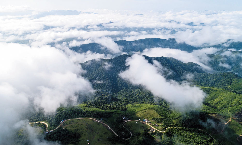 Vast charming Dong Cao plateau