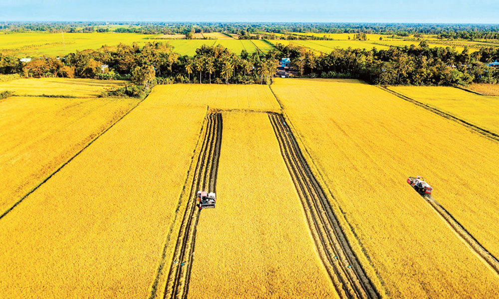 Farming in harmony with nature