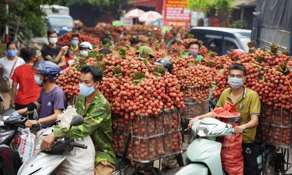 Lychee exports more than triple to $35M in June