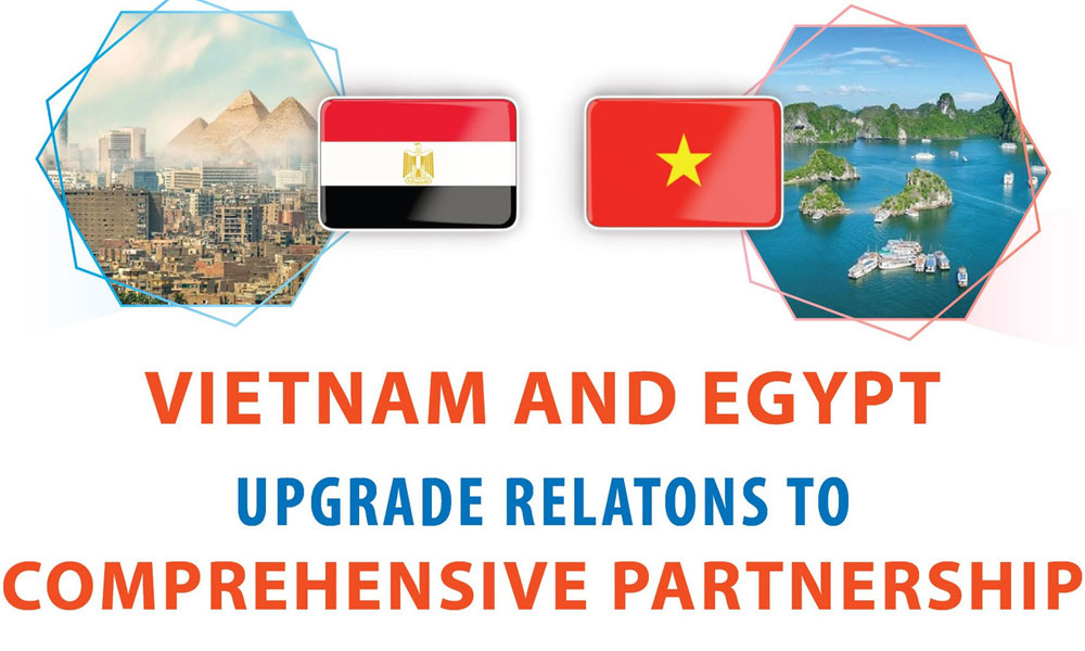 Vietnam, Egypt upgrade relations to comprehensive partnership
