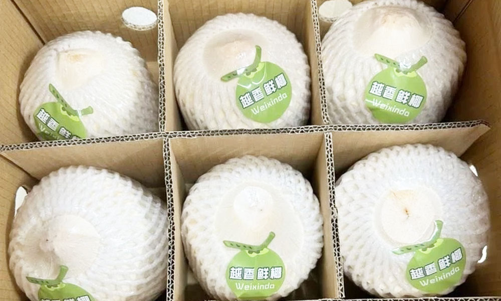 Nearly 22 tonnes of fresh coconuts exported to China via Bac Luan II border gate