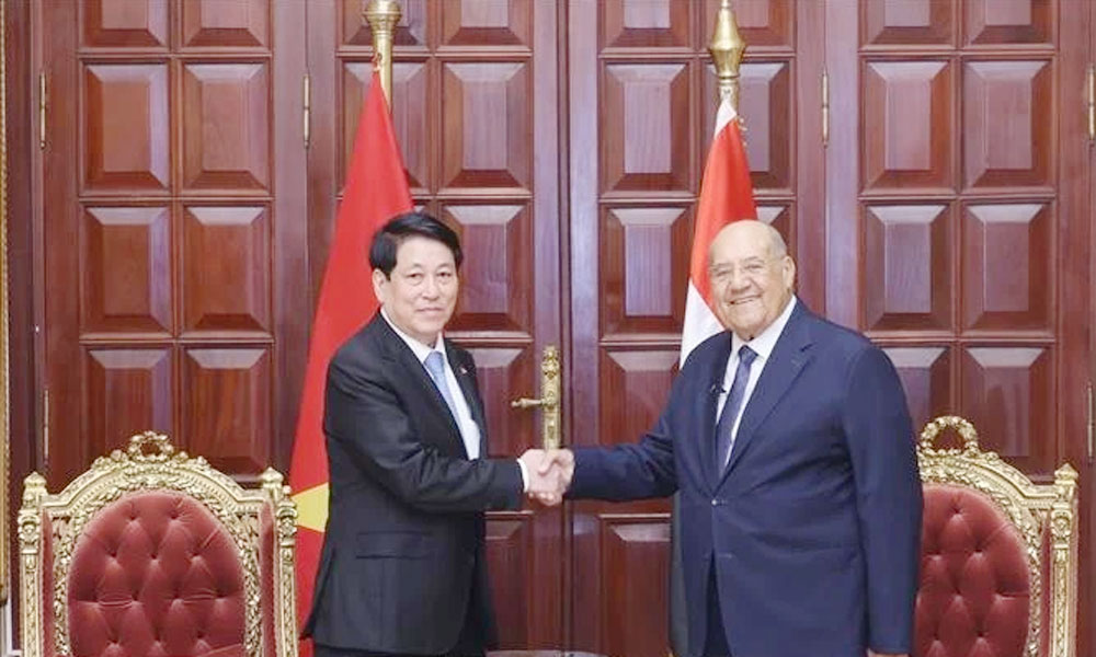 Vietnamese, Egyptian leaders agree to beef up parliamentary cooperation