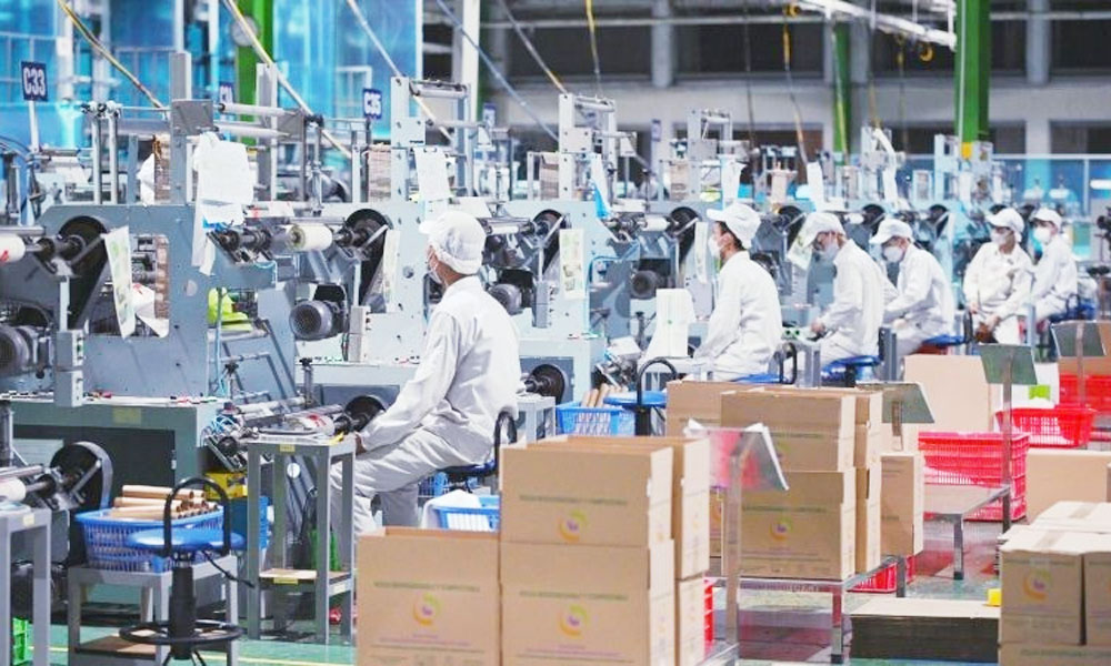 Number of new enterprises rises 10.6% in first seven months