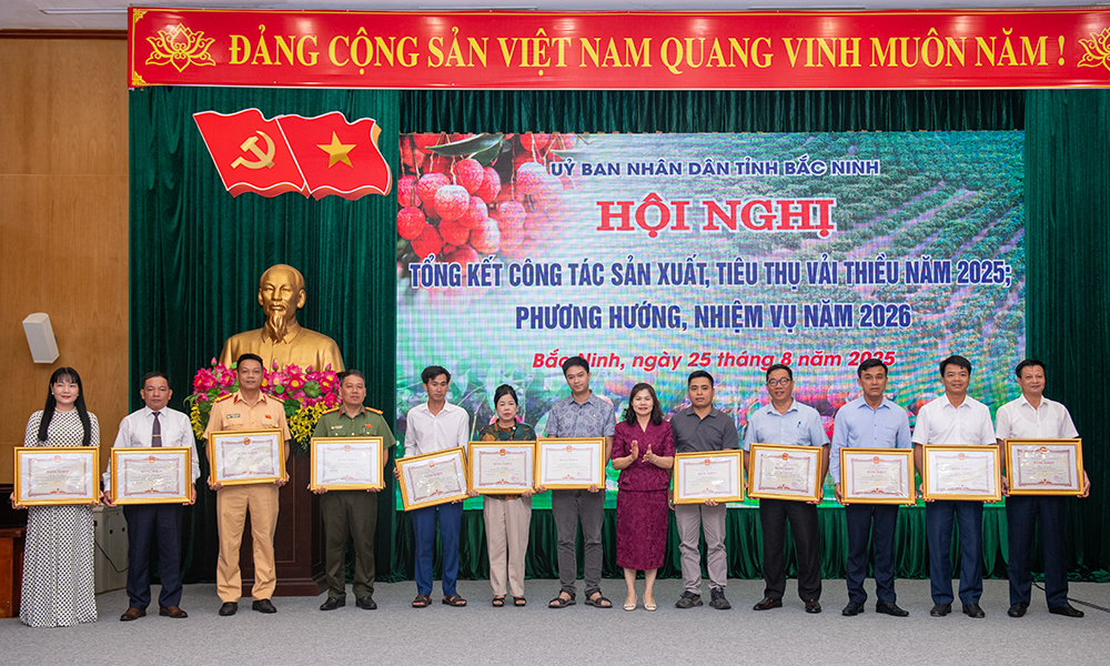 Bac Ninh seeks to raise quality, expand lychee markets