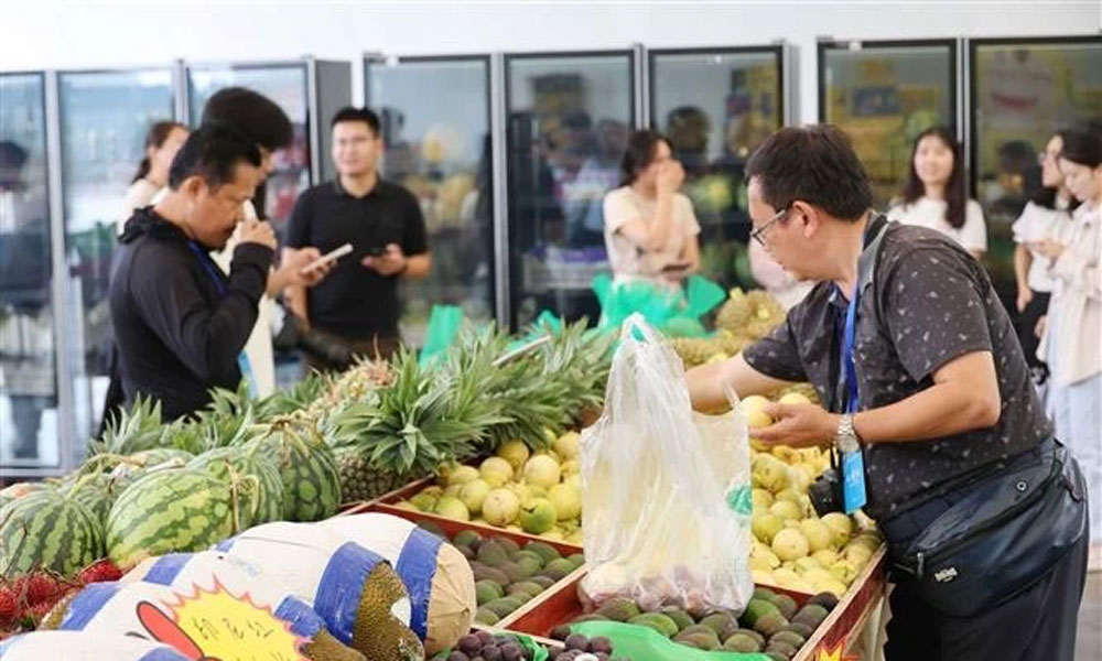Vietnamese fruit sales thrive in China's booming market