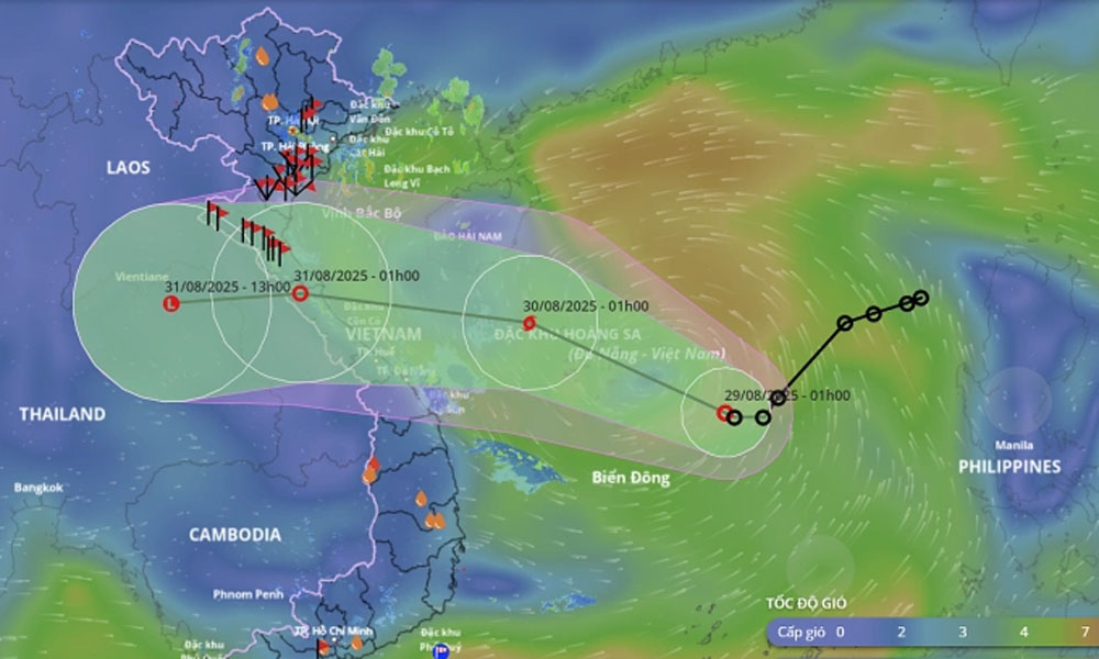 Tropical depression near Vietnam's central coast likely to strengthen into storm today