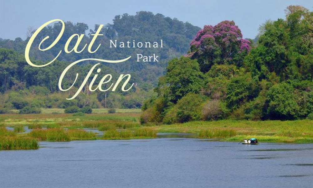 Cat Tien: a sanctuary for endangered wildlife