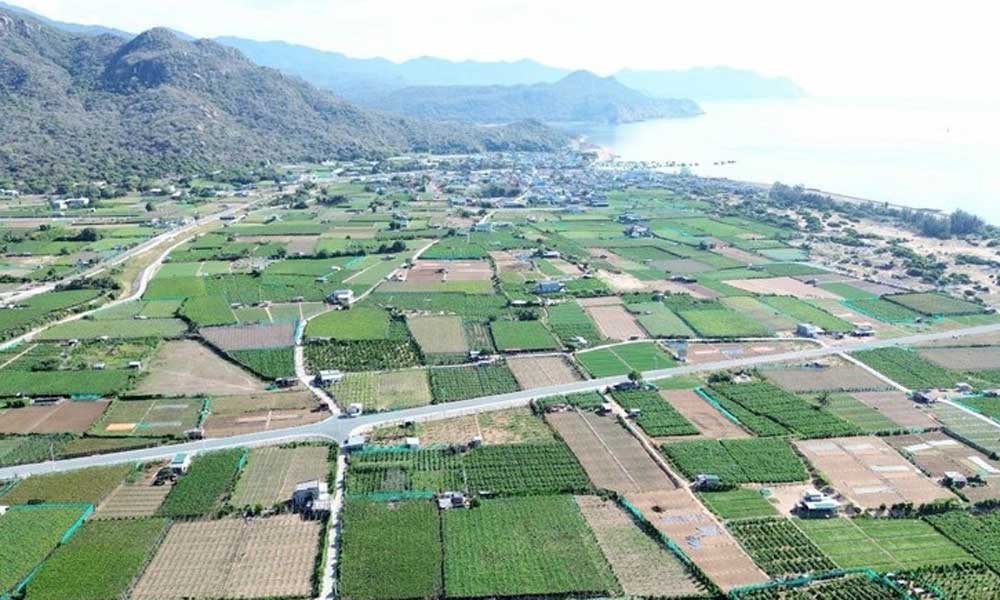 Khanh Hoa: Nuclear power project - A new growth driver