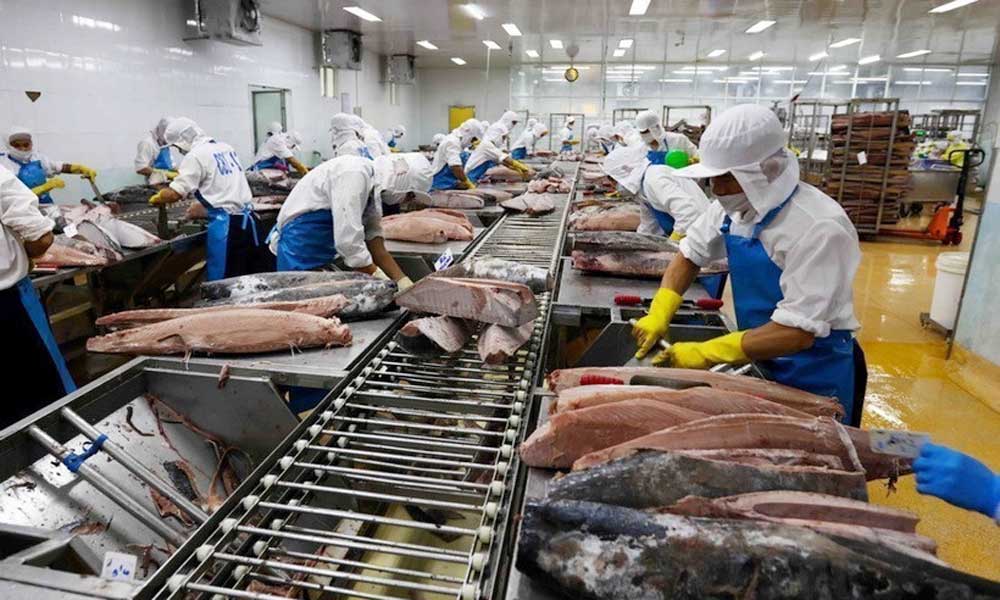 Vietnam posts nearly 14 billion USD trade surplus in eight months