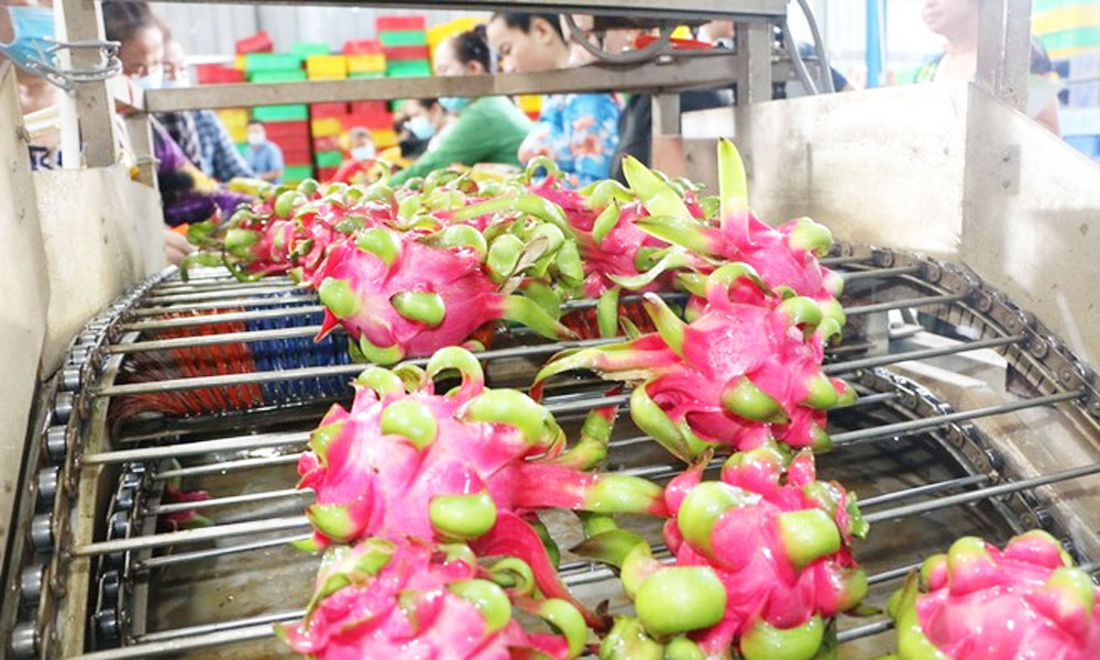 Vietnam’s fruit, vegetable exports estimated at 6.11 billion USD in nine months