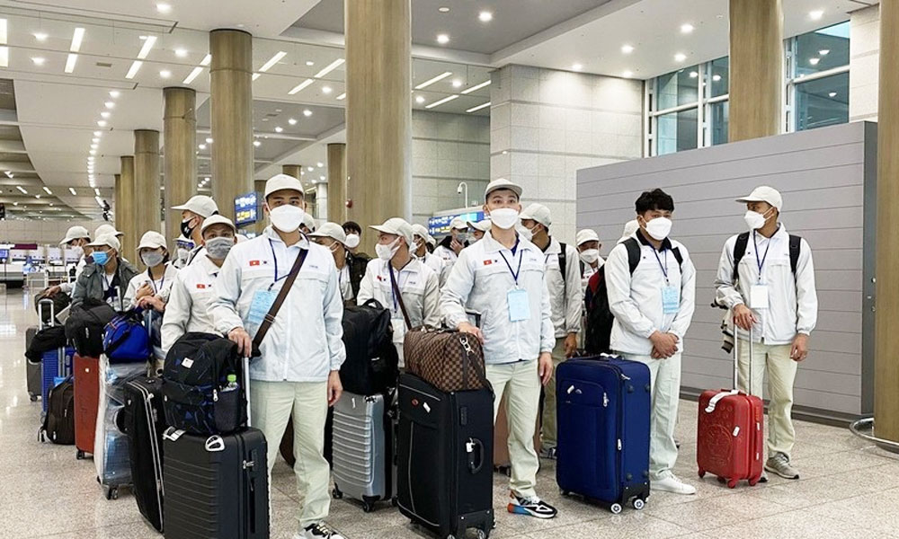 Vietnamese workers form largest expat group in RoK’s industrial southeast