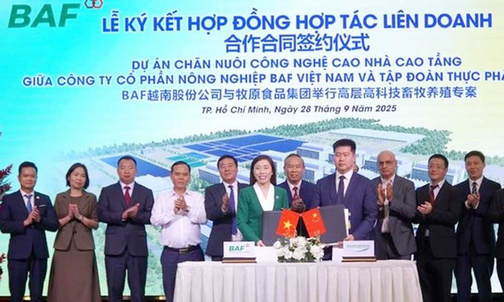 Vietnam, China firms partner to supply 1.6 million pigs to southern market