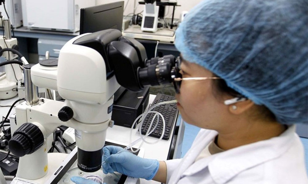 New laws on innovation, corporate income tax enacted from October 1