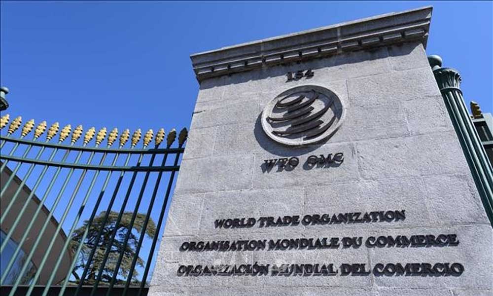 Vietnam completes notification on rules of origin within WTO framework