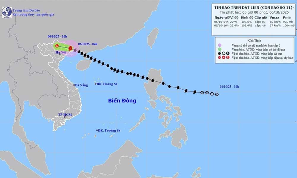 Typhoon Matmo weakens after making landfall in China’s Guangxi province