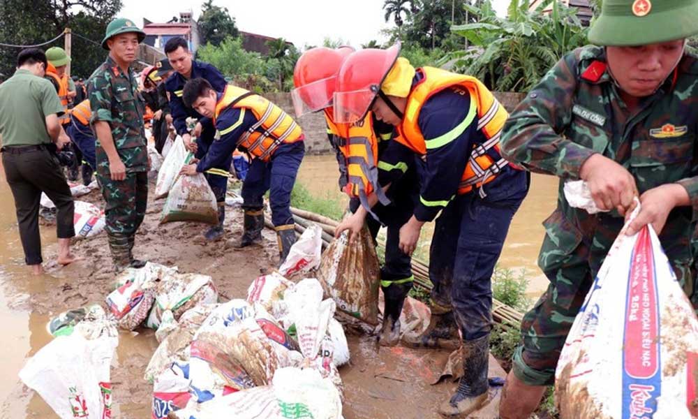 Protecting dykes – a must in disaster response