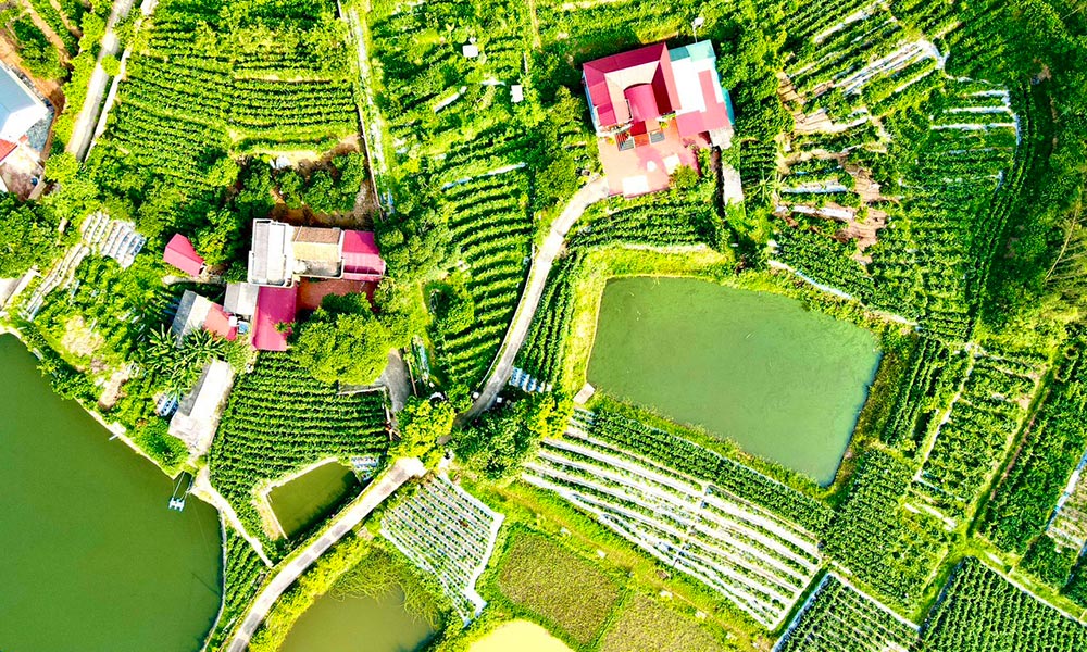 Danh Mountain spiritual and ecological tourist site