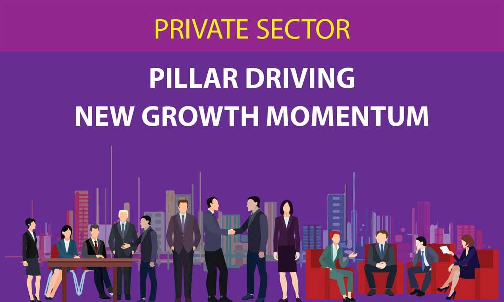 Private sector: Pillar driving new growth momentum