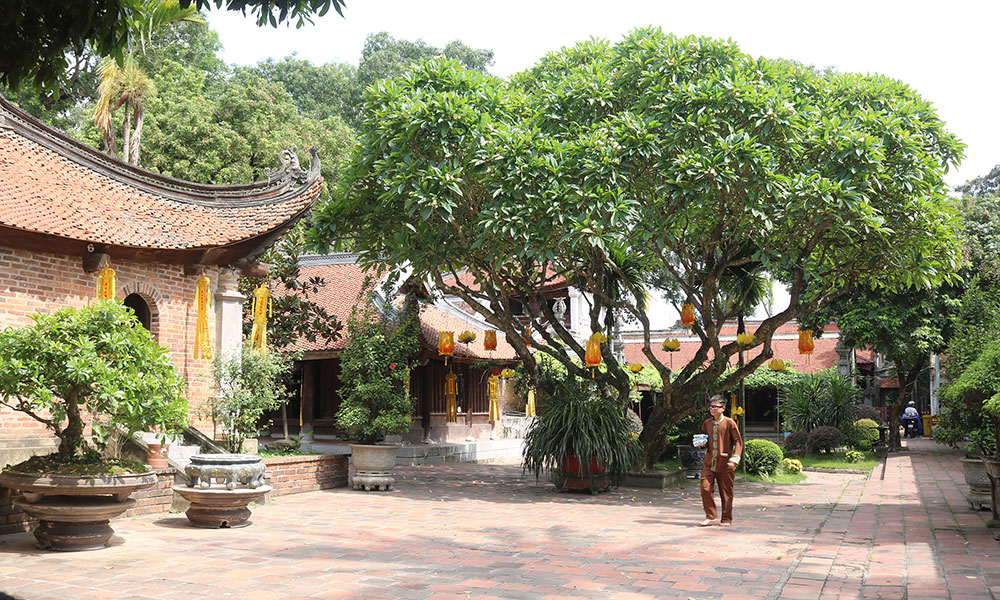 Bac Ninh launches film project to promote Truc Lam Yen Tu Buddhist heritage