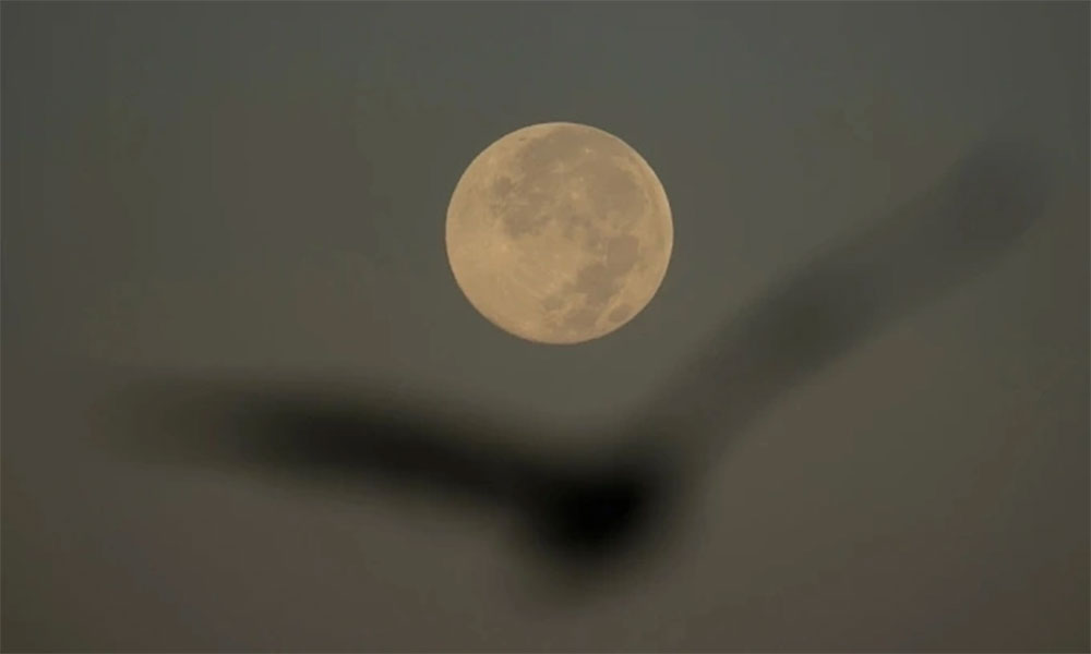 November's supermoon will be the closest to Earth this year