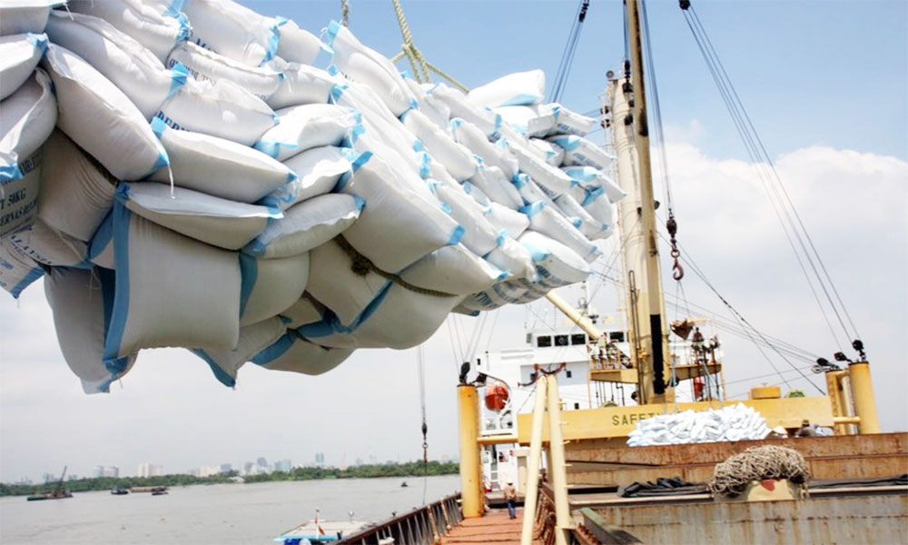 Exports hit new records following strong momentum