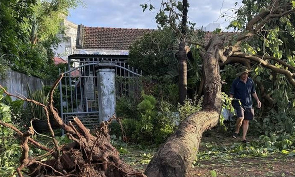 Dak Lak: Typhoon Kalmaegi causes 170 billion VND in damage