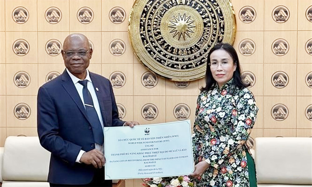 WWF provides 40,000 USD to help Da Nang recover from natural disasters