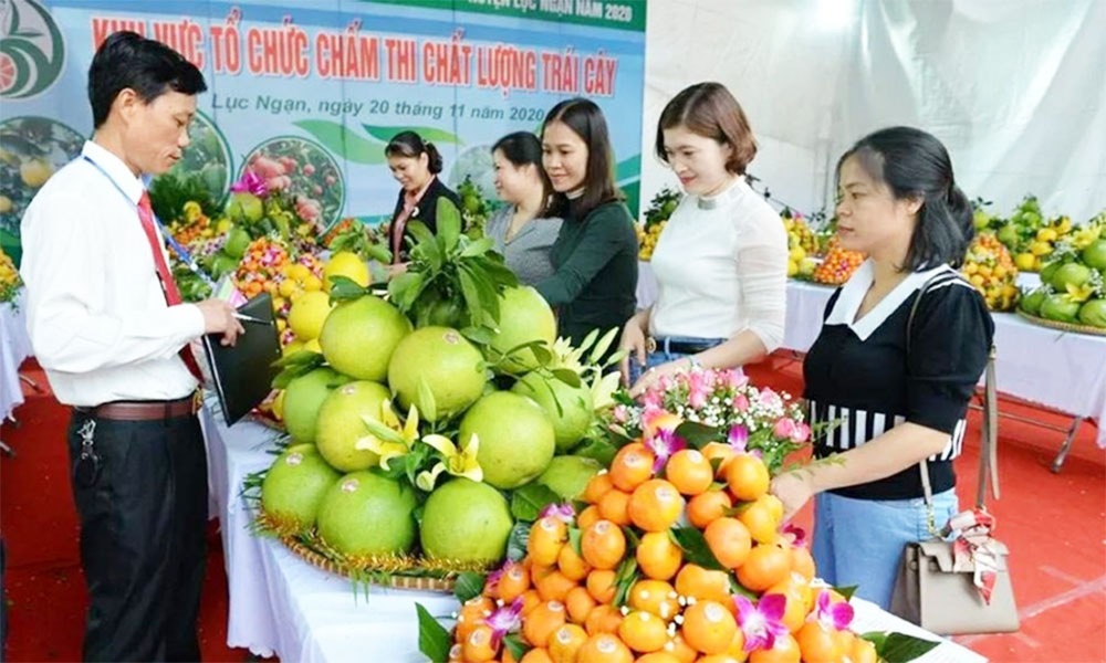 Bac Ninh fruit festival to take place in December