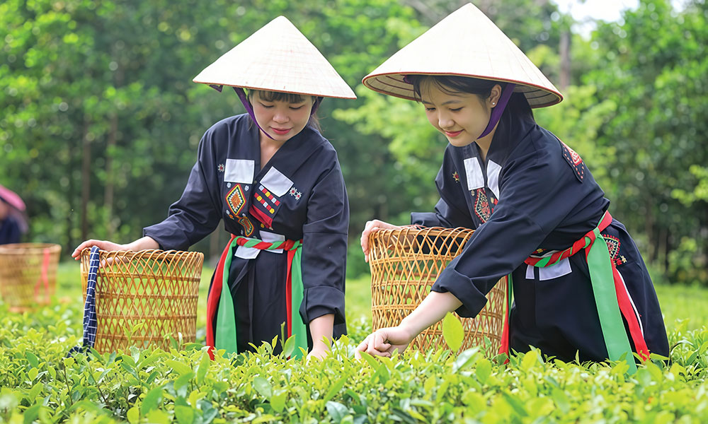 Exploring traditional culture becomes new draw for visitors