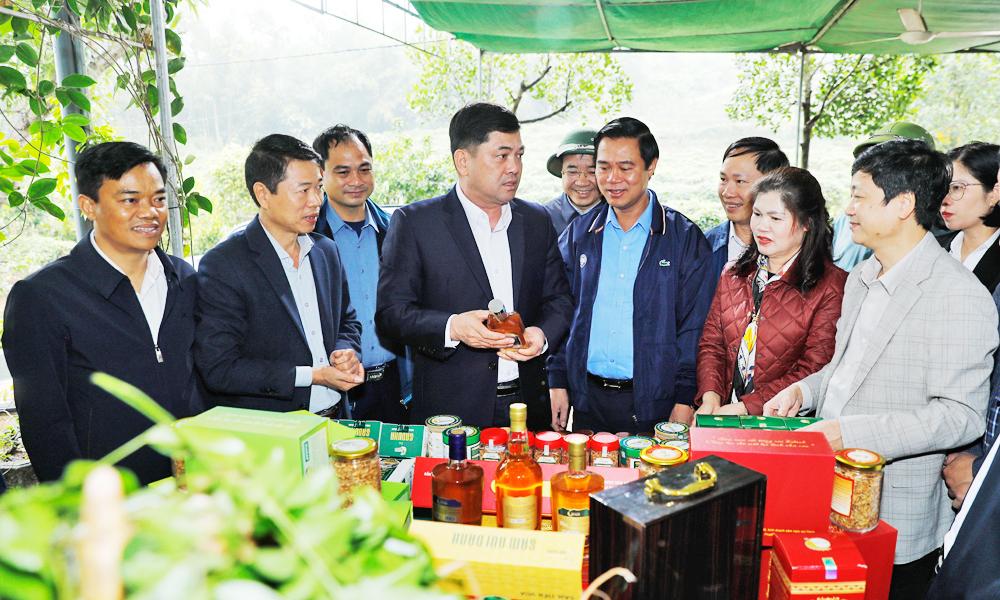 Bac Ninh focuses investment on high-value agricultural zones