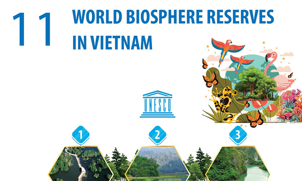Vietnam home to 11 World Biosphere Reserves