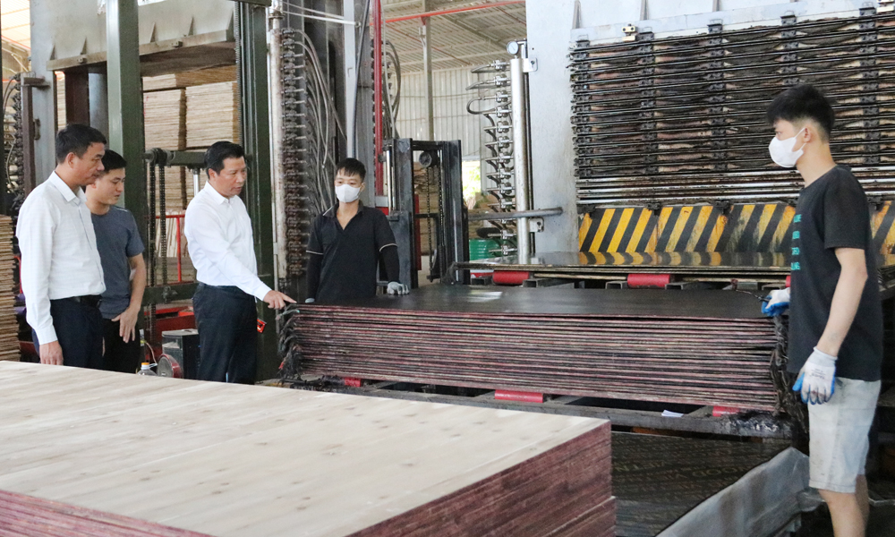 Xuan Luong boosts forest-based economy and livestock production